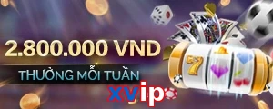 xvip