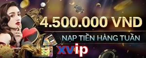 xvip