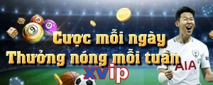 xvip